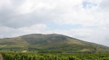 Kopasz-hegy (Zempléni-hegység), Tokaj (thumb)